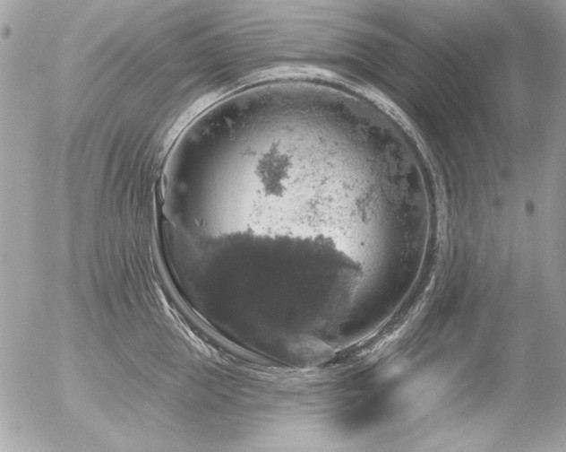 X0000056330953200508261217