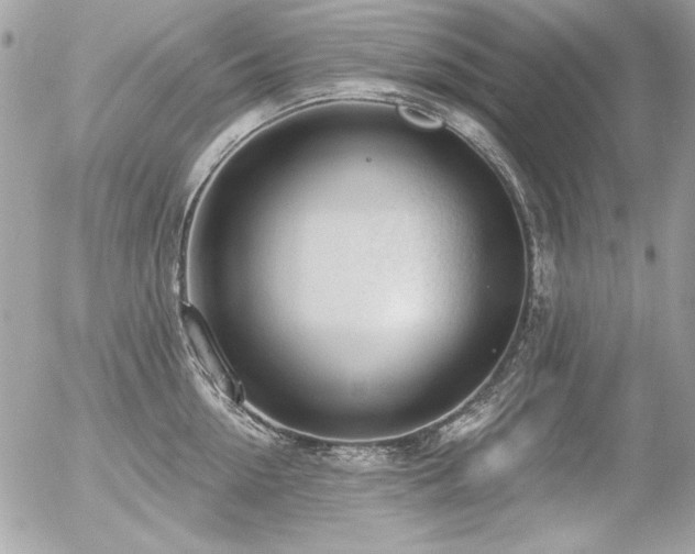 X0000056330954200508261217