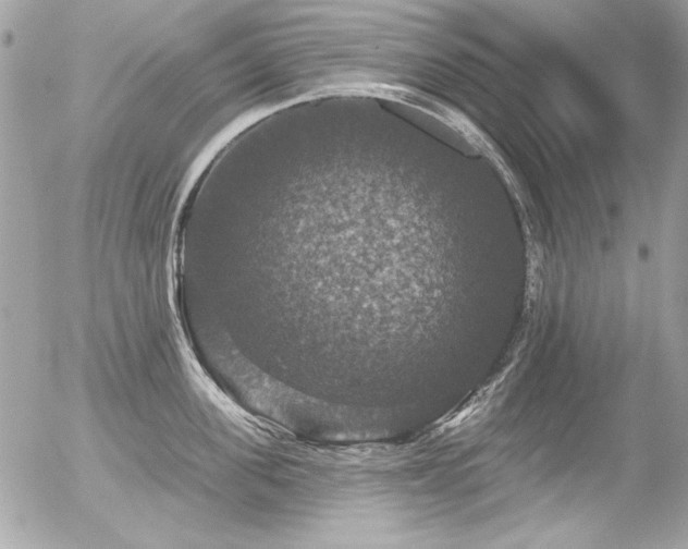 X0000056330955200508261217