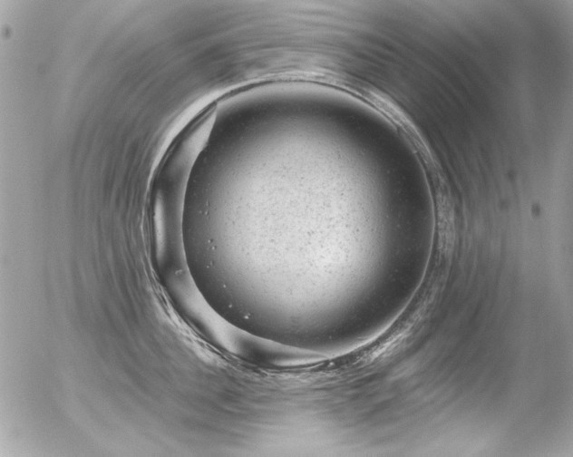 X0000056330956200508261217