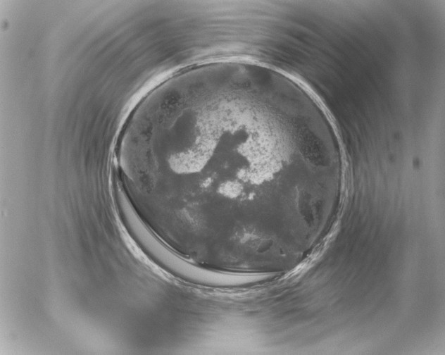 X0000056330957200508261217