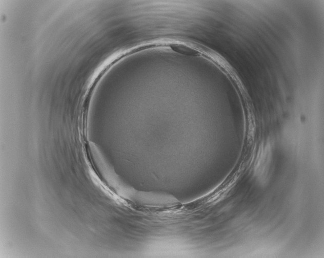 X0000056330958200508261217