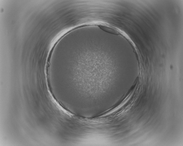 X0000056330959200508261217