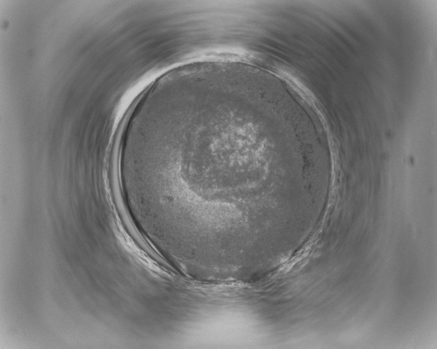 X0000056330960200508261217