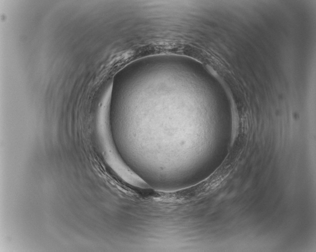 X0000056330961200508261216