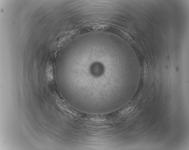 X0000056330962200508261216