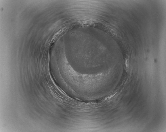 X0000056330963200508261216