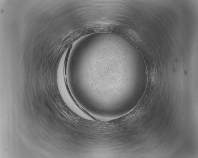 X0000056330964200508261216