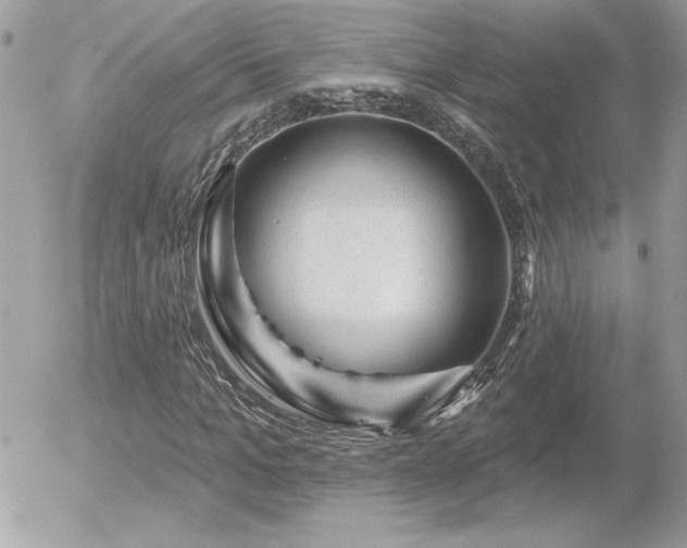 X0000056330965200508261216