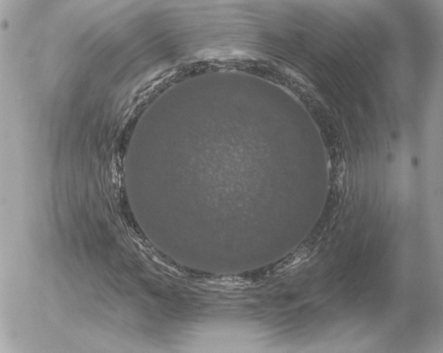 X0000056330966200508261216