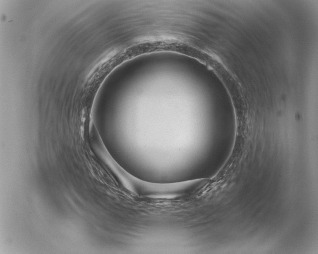 X0000056330967200508261216