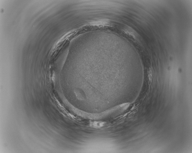 X0000056330968200508261216