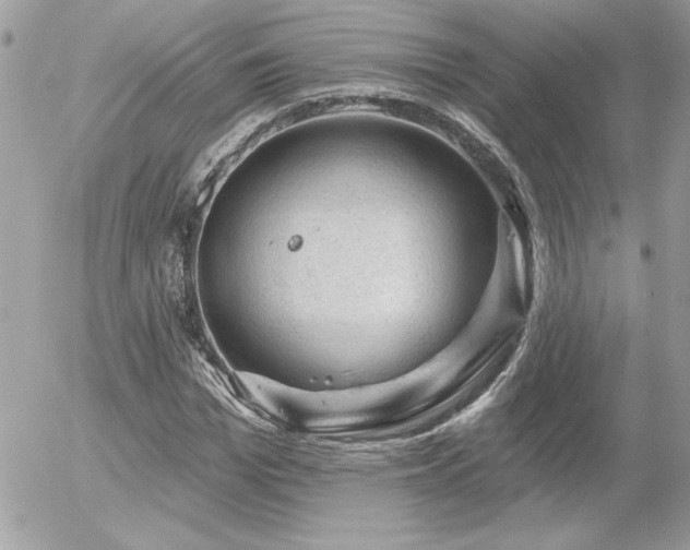 X0000056330969200508261216