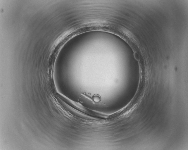 X0000056330970200508261216