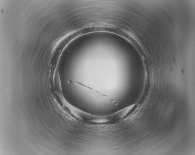 X0000056330971200508261216