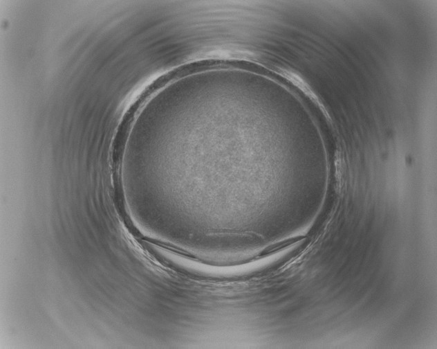 X0000056330972200508261216