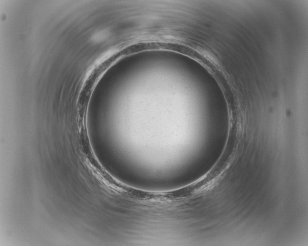 X0000056330974200508261216