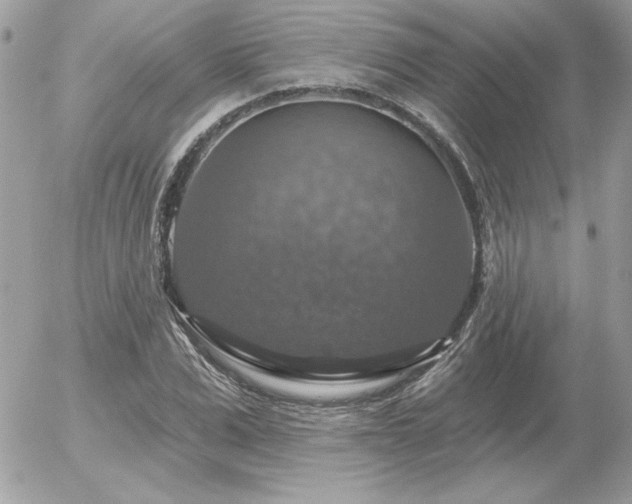 X0000056330975200508261216