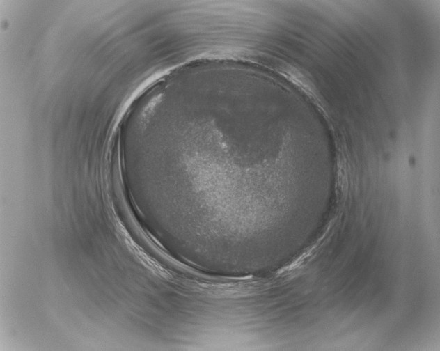 X0000056330976200508261216