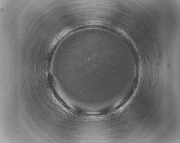 X0000056330977200508261216