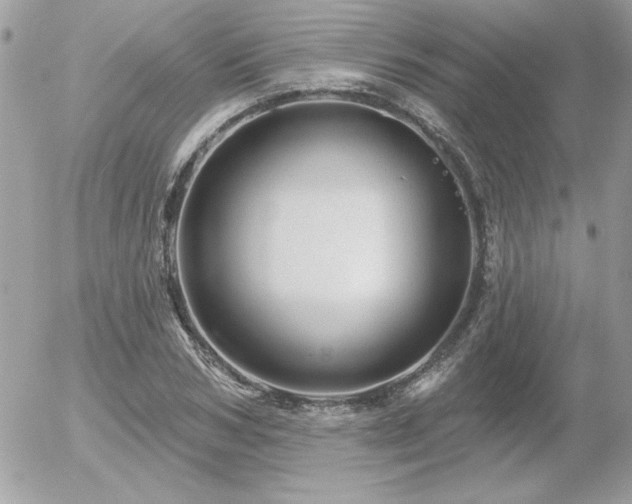 X0000056330978200508261216