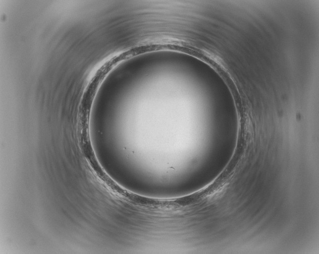 X0000056330979200508261216