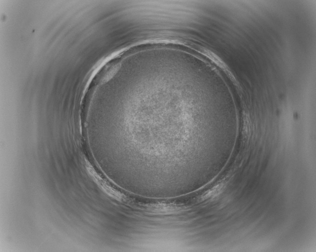 X0000056330980200508261216