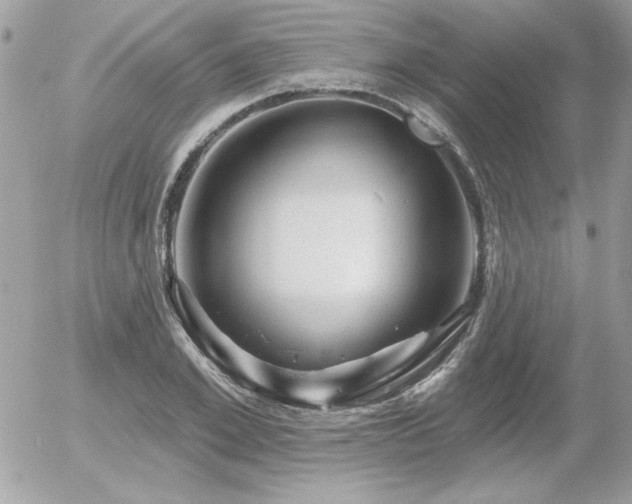 X0000056330981200508261216