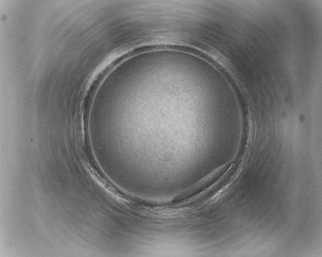 X0000056330982200508261216