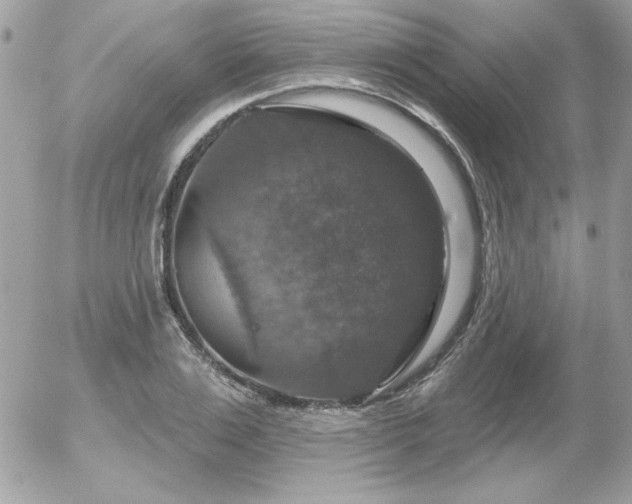 X0000056330983200508261216