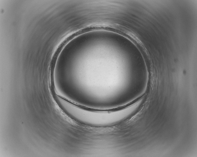 X0000056330984200508261216