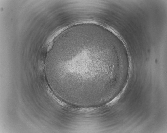 X0000056330985200508261216