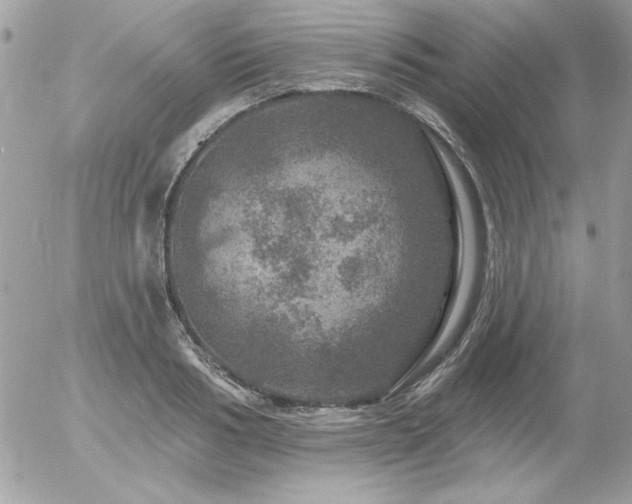 X0000056330986200508261216