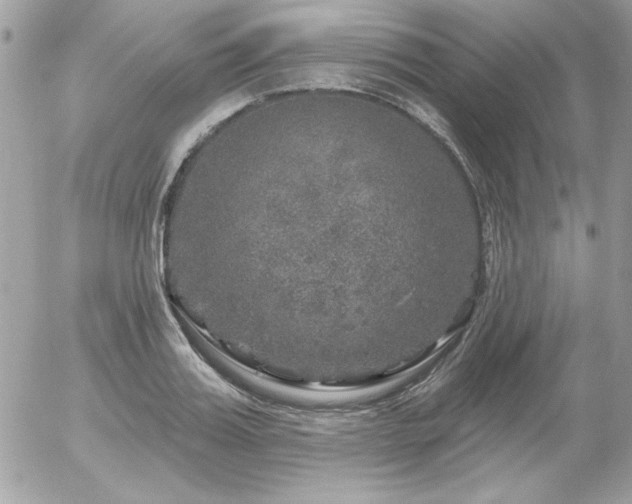 X0000056330987200508261216