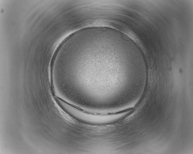 X0000056330988200508261216