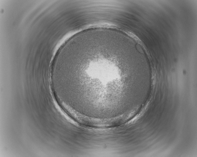 X0000056330989200508261216