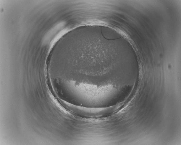 X0000056330990200508261216