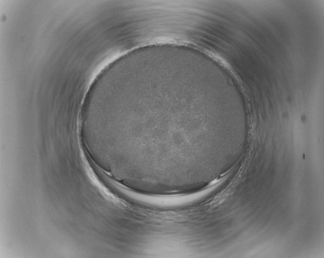 X0000056330991200508261216