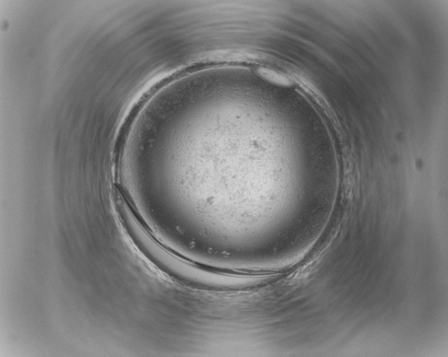 X0000056330992200508261216