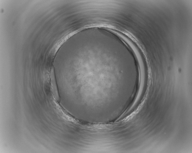 X0000056330993200508261216