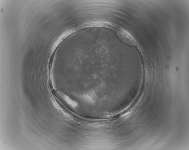 X0000056330994200508261216