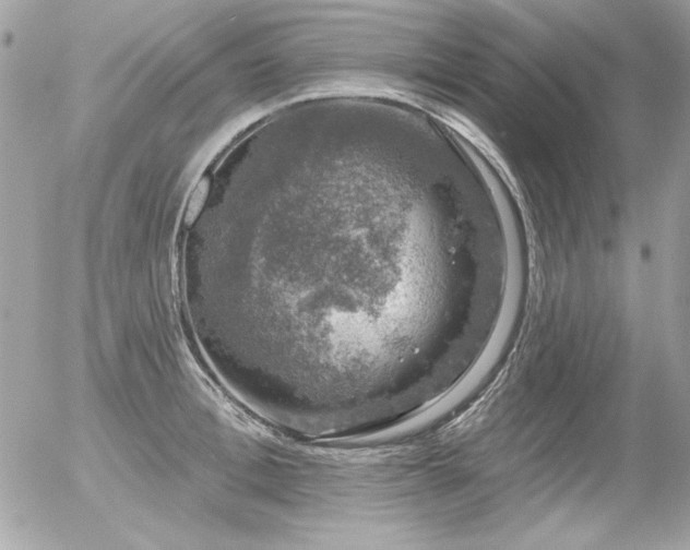 X0000056330996200508261216