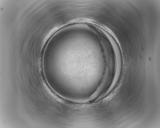 X0000056330997200508261216