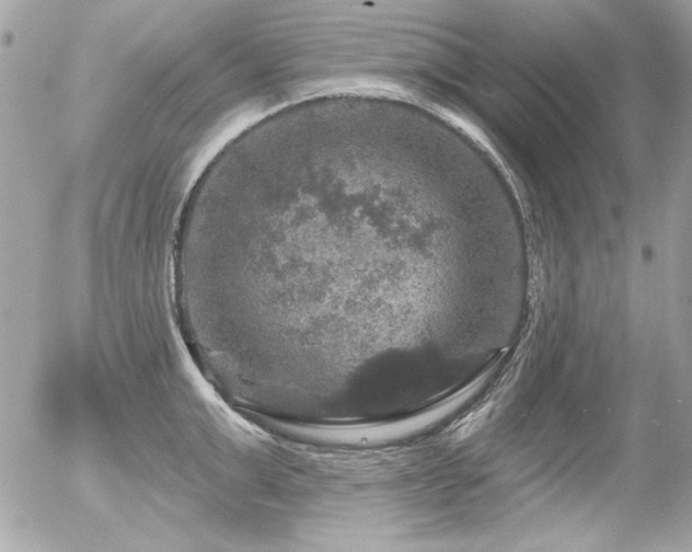 X0000056330999200508261216