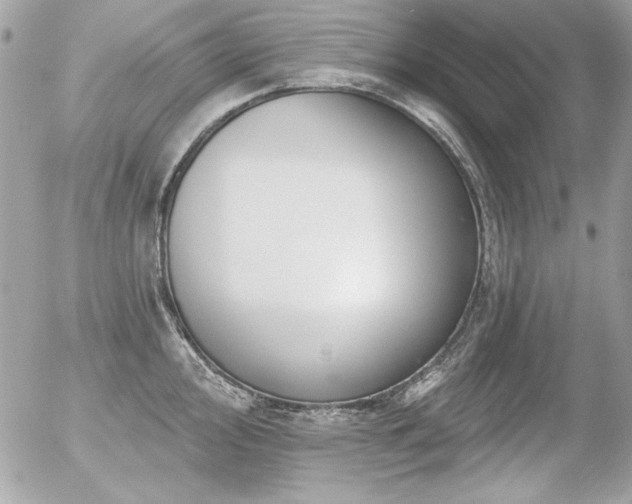 X0000056331000200508261216