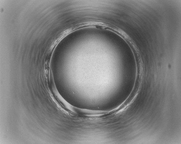 X0000056331001200508261216