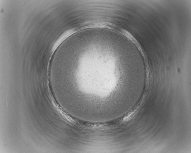 X0000056331002200508261216