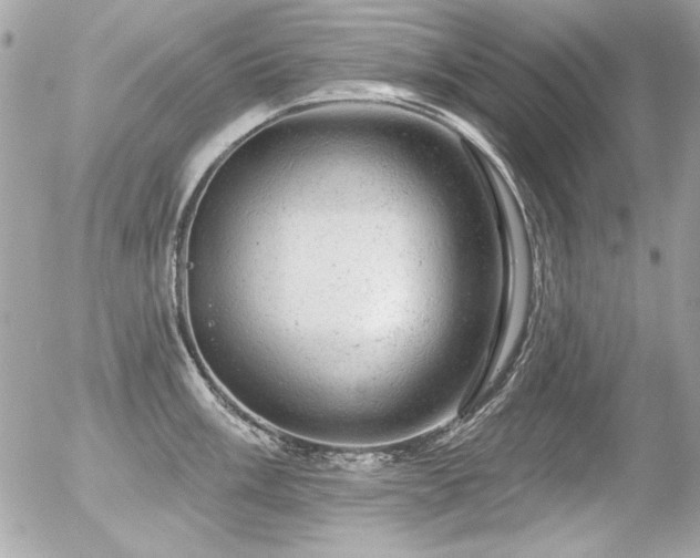 X0000056331003200508261216