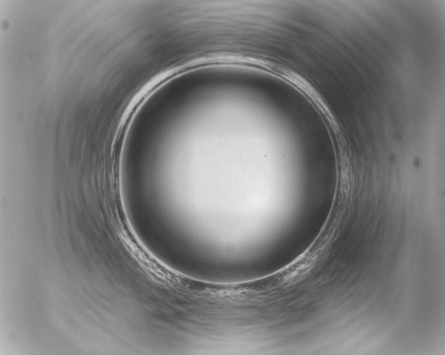 X0000056331004200508261216