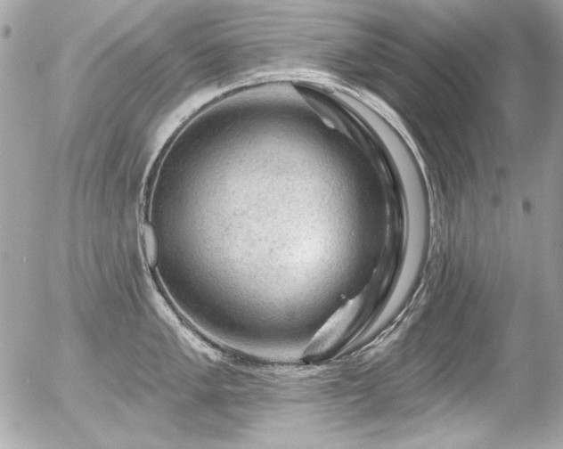 X0000056331005200508261216